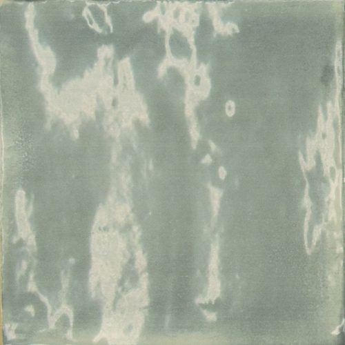 Fredrikstad Eucalyptus