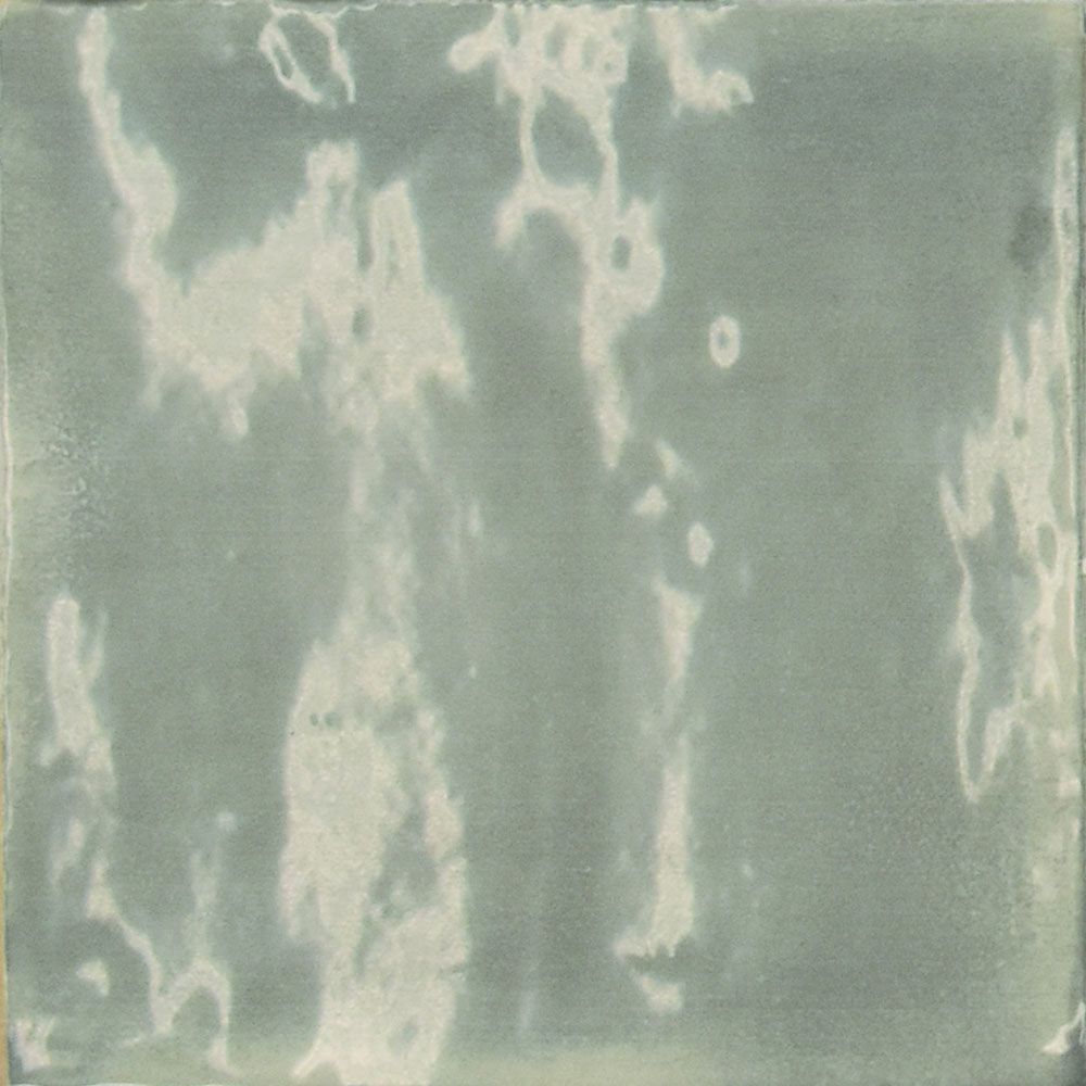 Fredrikstad Eucalyptus