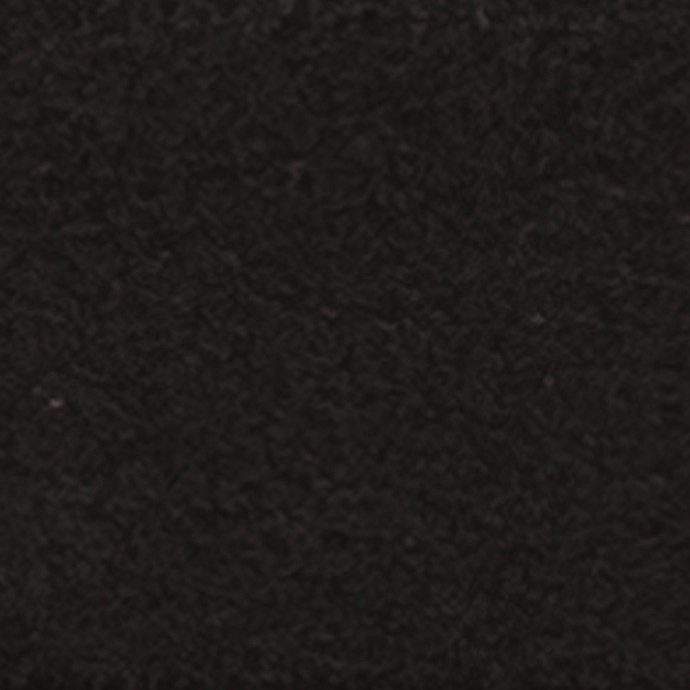 Silkeborg Black Swan