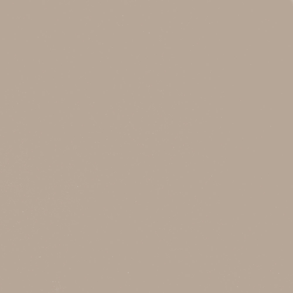 Vordingborg Dutch White