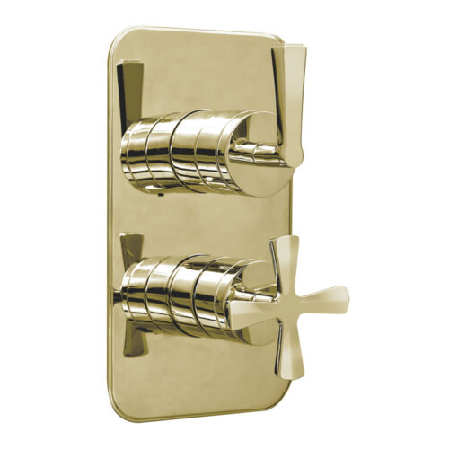 Riviera Shower valve Gold c/w ...