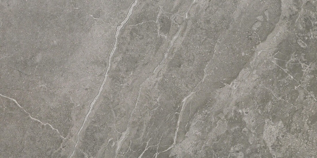 Lexus Grey Fleury 60x60